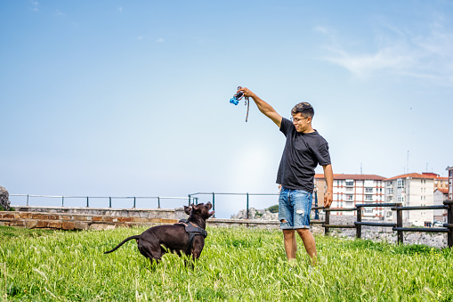 Young man training with american staffordshire terrier in nature