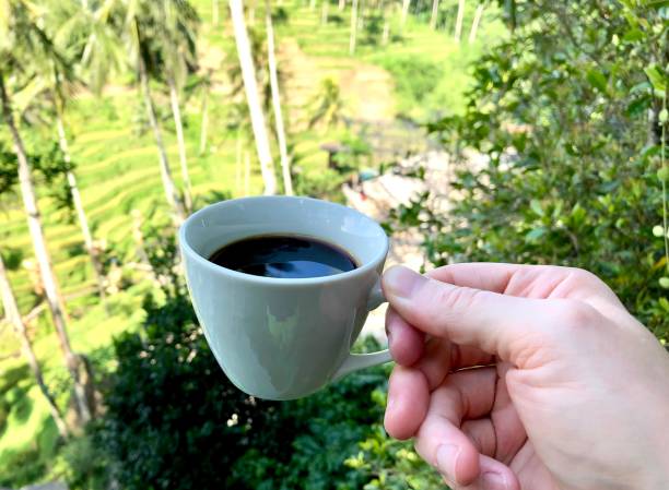 istock One Hand Holding Cup of Luwak Coffee in Bali 1568097547