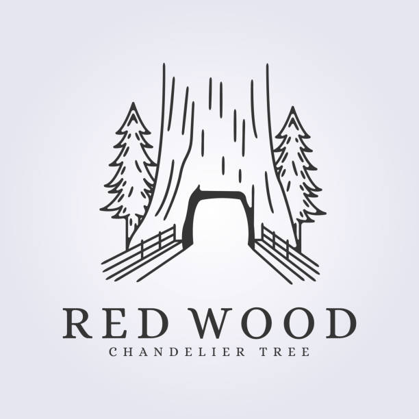 chandelier tree redwood line art logo vector illustration design