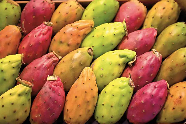 Sicily Prickly Pears
