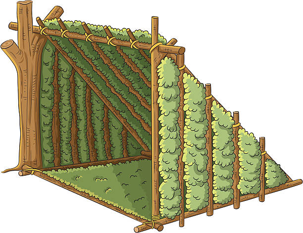 ilustraciones, imágenes clip art, dibujos animados e iconos de stock de refugio de madera carpa - windbreak