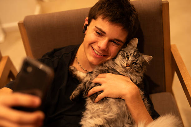 istock Teenage boy using smartphone stroking his cat 1568128452