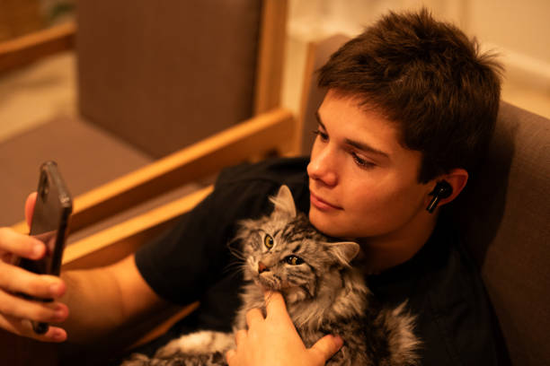 istock Teenage boy using smartphone stroking his cat 1568128456