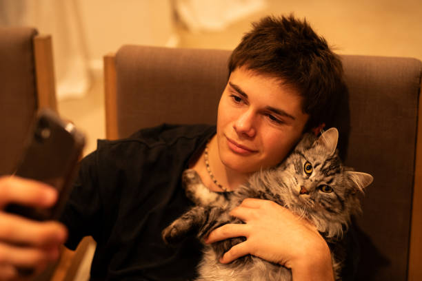 istock Teenage boy using smartphone stroking his cat 1568128962