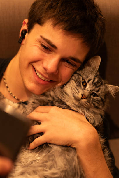 istock Teenage boy using smartphone stroking his cat 1568128970