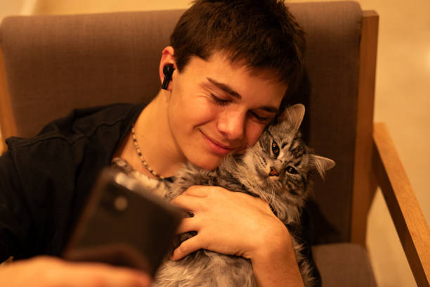 istock Teenage boy using smartphone stroking his cat 1568128972