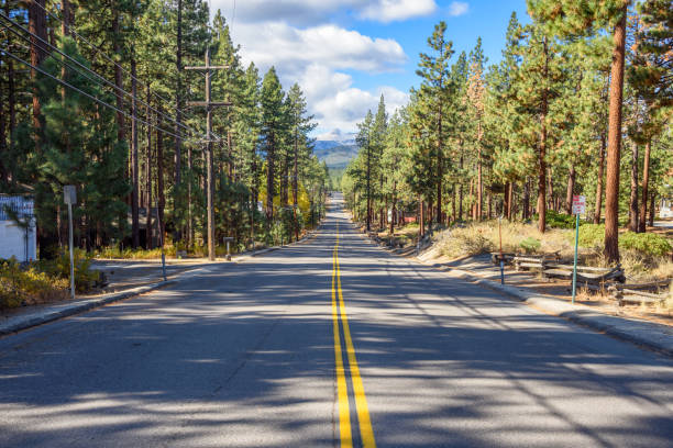 istock Empty straight road through a pine forest in the mountains in autumn 1568144267