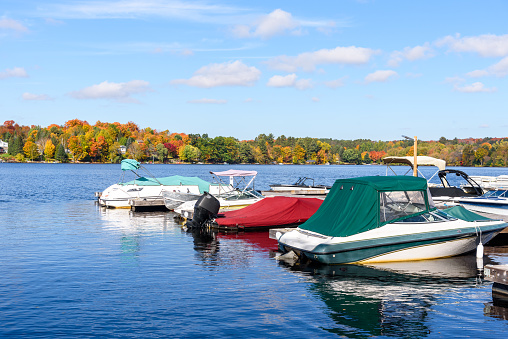 Motorboats tied up to wooden jetties in a small harbour on a lake surrounded by forest at the peak of fall foliage. Huntsville, ON, Canada.