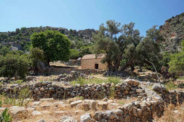 istock Lissos Archaelogical Site in Sougia, Crete 1568152218
