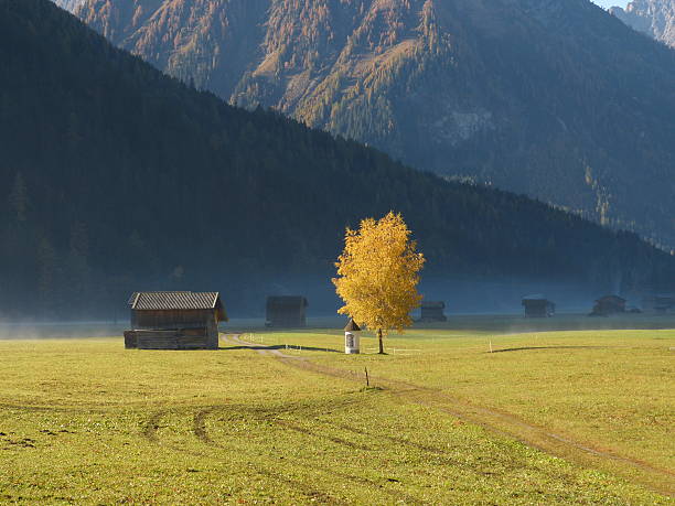 mattina di nebbia in autunno mountains - arlberg mountains ötztal switzerland erholung foto e immagini stock