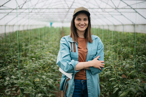 Portrait of a caucasian female greenhouse farm owner. Woman in casuals with arms crossed looking at camera and smiling in tomato farm in hothouse.