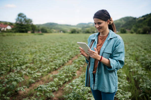istock Farm owner using a tablet on agriculture farm 1568182117