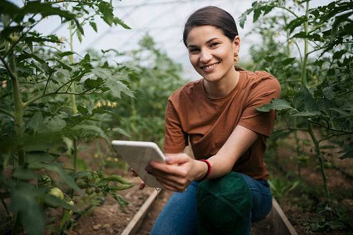 Smiling woman with digital tablet in greenhouse. Female working at greenhouse garden looking at camera amidst tomato crop.