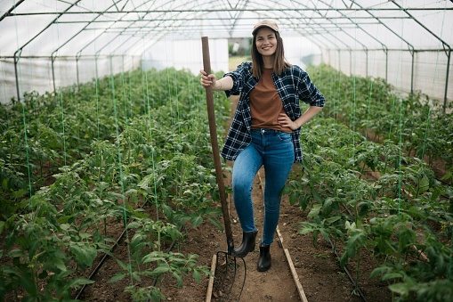 Full length portrait of a confident woman worker holding a gardening tool standing in a greenhouse farm. Female farmer working at greenhouse vegetable farm.