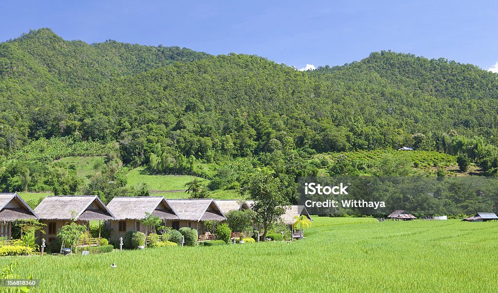 Aldeia com Campo Verde - Royalty-free Agricultura Foto de stock