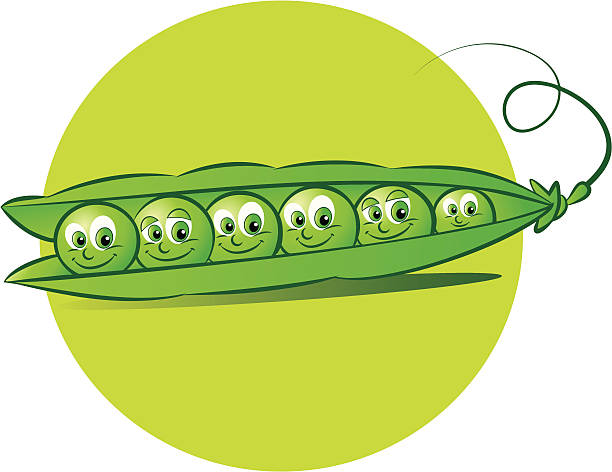 happy peas vector illustration of six peas in a pod happy green peas stock illustrations