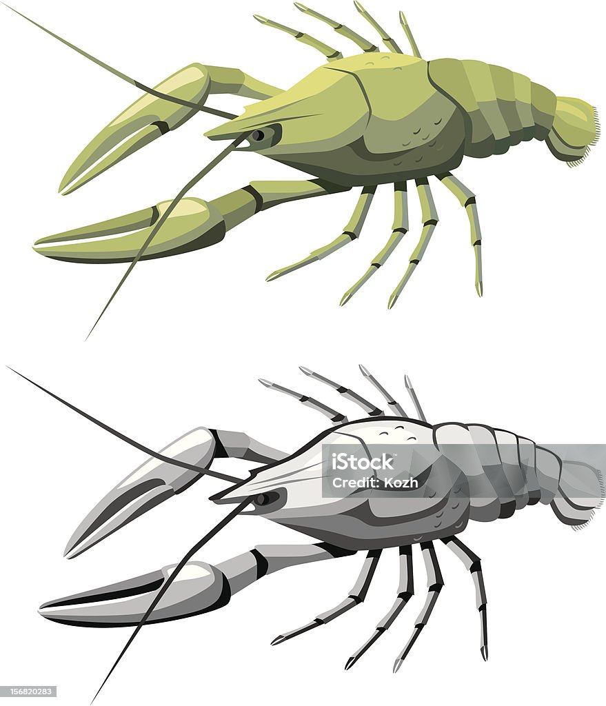 Речной рак - Векторная графика Белый фон роялти-фри