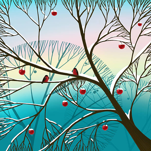 Inverno Albero di mele - illustrazione arte vettoriale