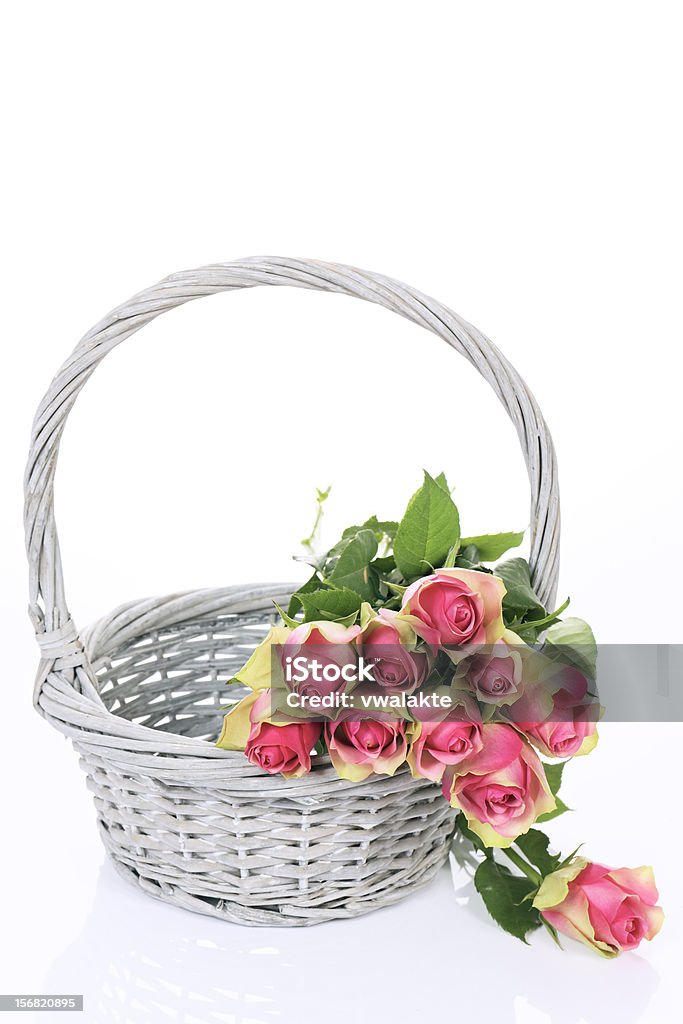 Belle rose rosa in cesto - Foto stock royalty-free di Bouquet