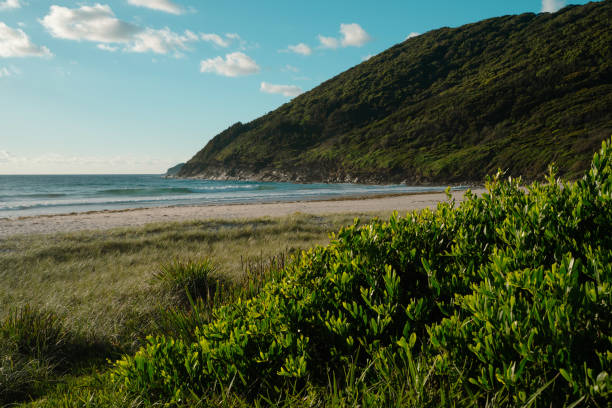 istock Booti Booti National Park, New South Wales 1568217414
