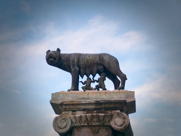 lupo capitolino che nutre romolo e remo, roma, italia - piazza del campidoglio statue rome animal foto e immagini stock