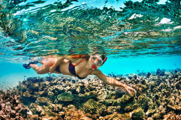 istock Snorkeling woman 156823974