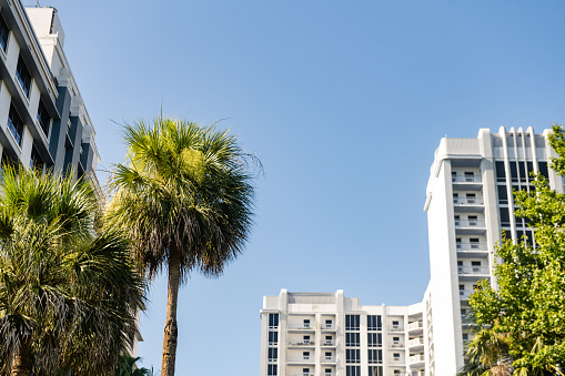 This is a background photograph of a palm tree with building exteriors on a sunny summer day in downtown, Orlando, Florida.