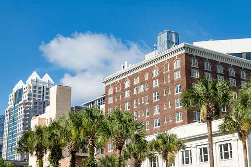 This is a photograph of a mixture of buildings including a historic brick exterior and a modern sky scraper with palm trees in downtown Orlando, Florida on a sunny summer day.