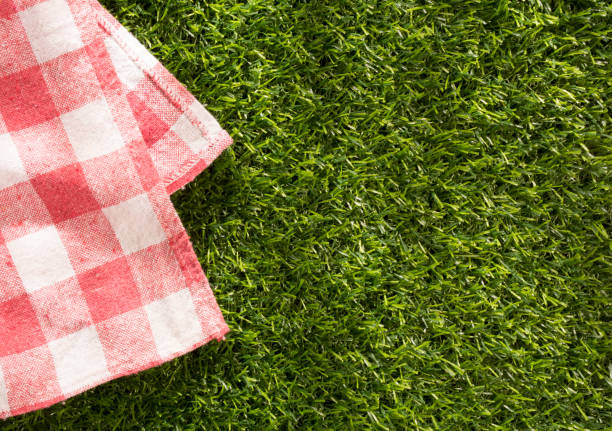 istock Background for a picnic on green grass. 1568299004