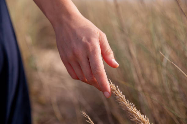 istock In contact with nature 1568311939