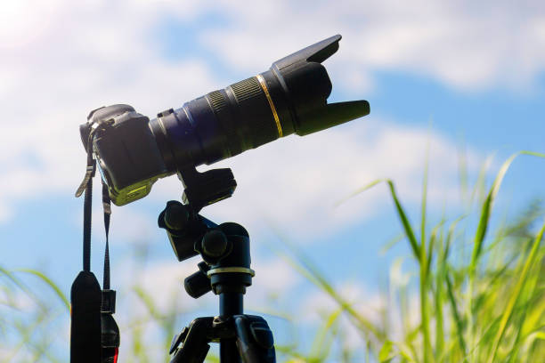 istock wildlife photographer 1568317743