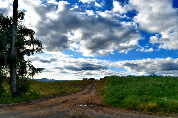 istock dirt road landscape 1568319822