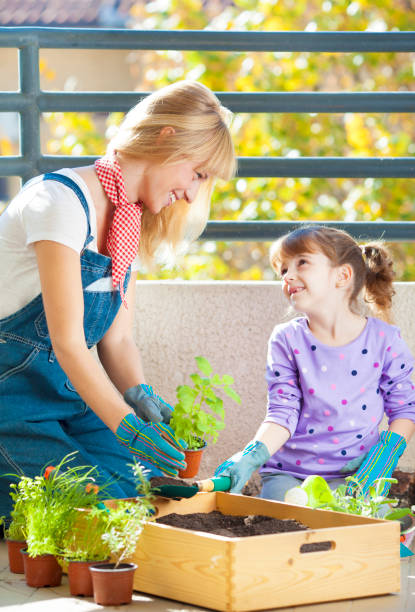istock Family Planting Herbs at home balcony 156834464