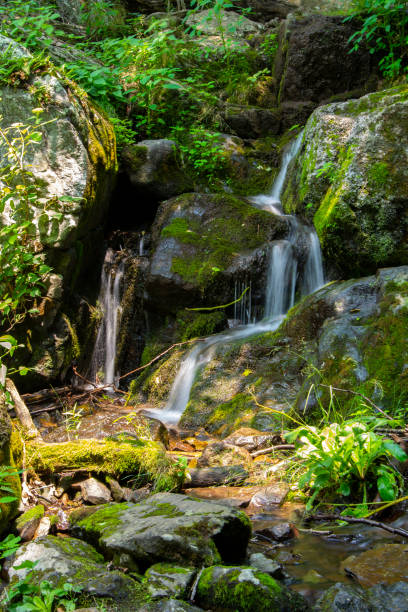 istock Shendoah National Park - Above Lewis Springs Falls 1568350978