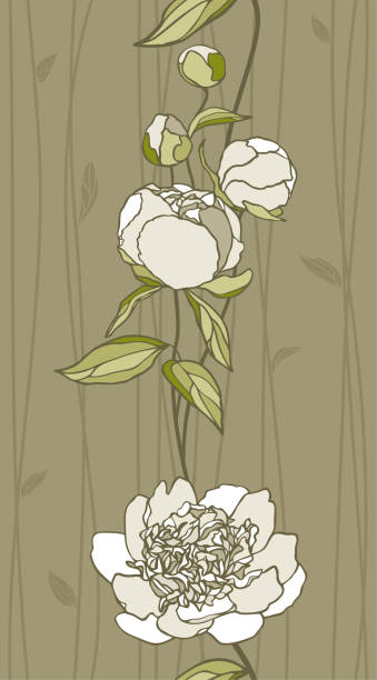 white peonies vector art illustration