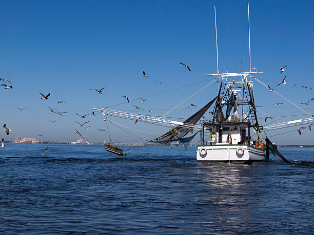 La costa del Golfo en barco de pesca de gambas - foto de stock