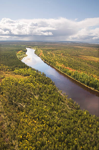 istock Taiga in the fall season 156839068