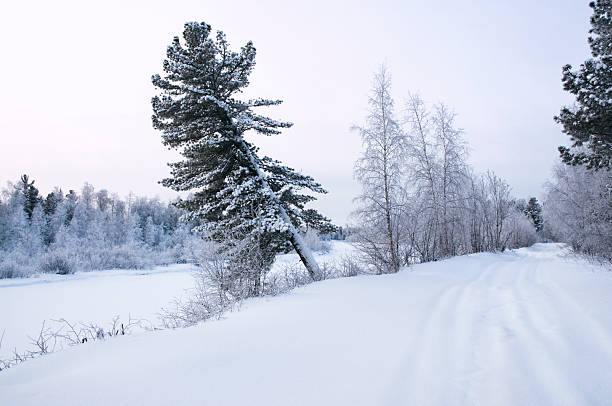 The road along the frozen river Pur. Yamal - Nenets Autonomous District.