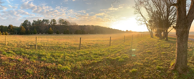 Sun rising with fence and grass watching