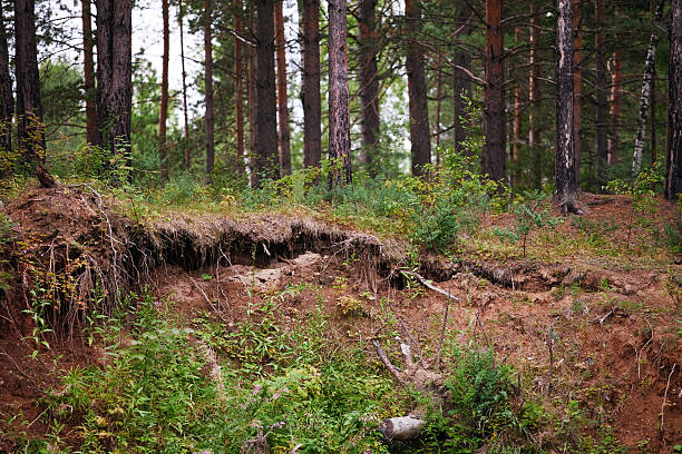 Steep Coast stock photo