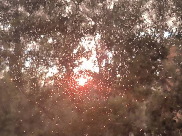 istock Window with drops after rain and rays of sunset 1568483499
