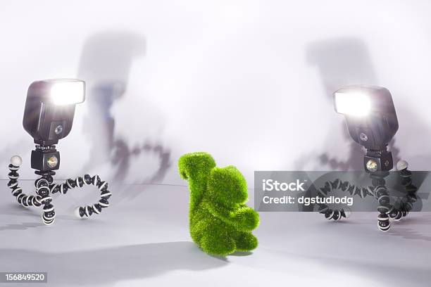Studio Shot Stock Photo - Download Image Now - Animal, Artificial, Black Color