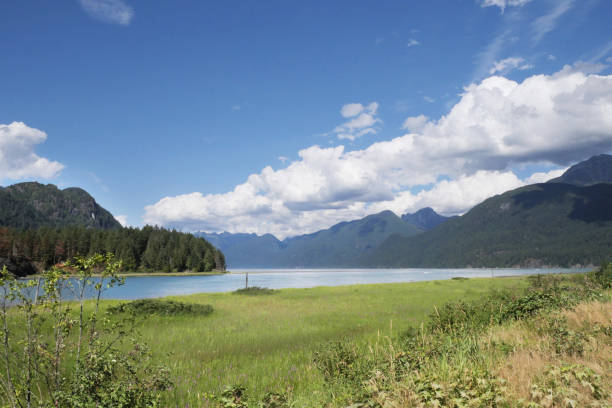istock Pitt Lake - Grant Narrows Regional Park 1568532453