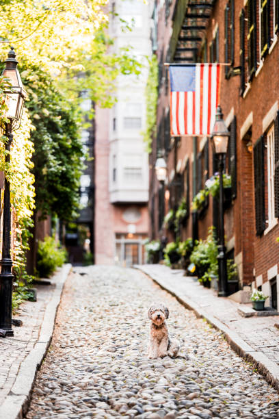 istock Back Streets of Boston on Memorial Day Weekend with River 1568627127