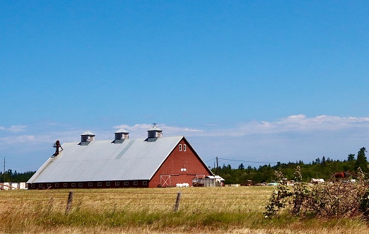 Blue sky over a very large old barn near Sequim, WA