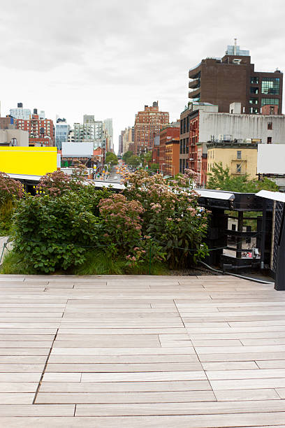istock High Line Park, Chelsea, New York 156864216