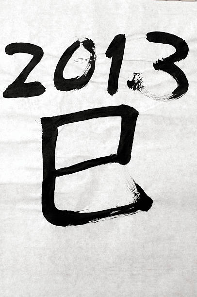 2013 년도 스네이크 - kanji chinese zodiac sign astrology sign snake 뉴스 사진 이미지