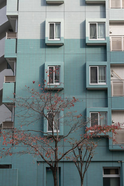 Minimal apartment mint green building exterior
