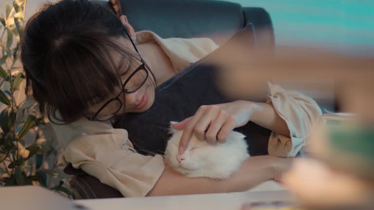 Asian young woman stroking a cat on her desk at home,Little best friends.