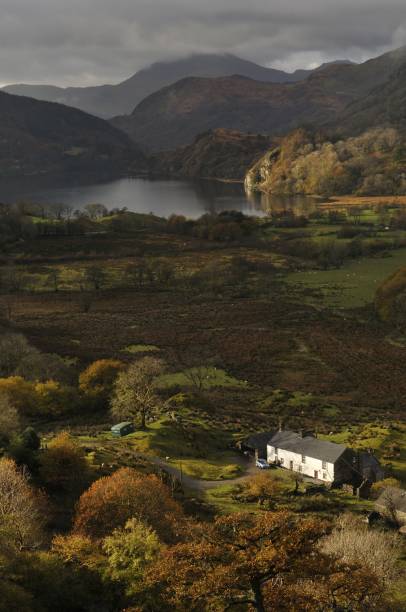 outono em nant gwynant - nant gwynant imagens e fotografias de stock